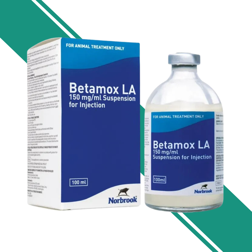 Betamox LA 150 mg/ml Suspension for Injection – 100ml